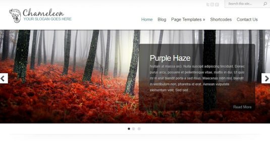 Chameleon Chameleon WordPress Theme