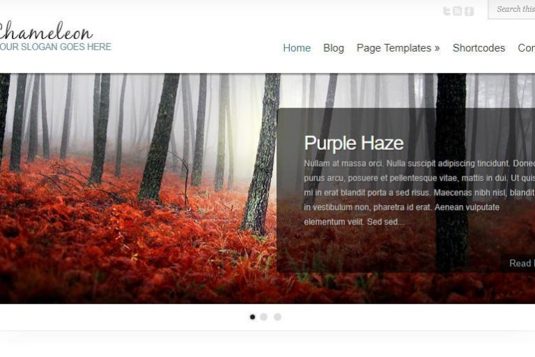 Chameleon WordPress Theme