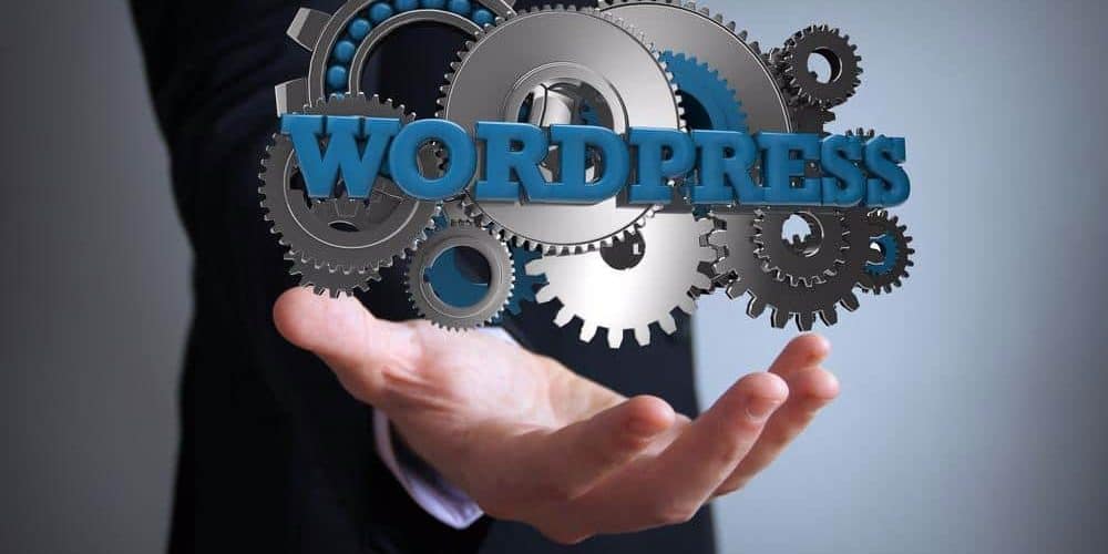 Premium WordPress Themes