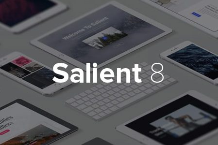 Salient Salient - Responsive Multi-Purpose Theme