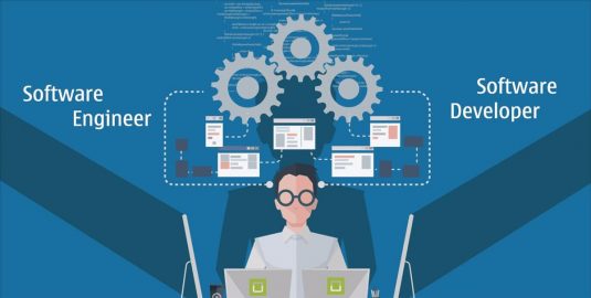 Software Developer