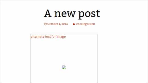 What is Alt Text and Image Title