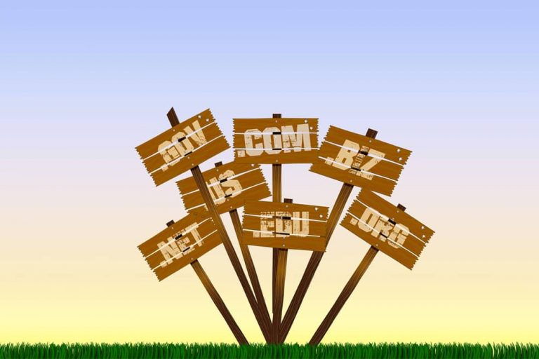 Choose the Right Domain Name How to Choose the Right Domain Name for Your Business Website