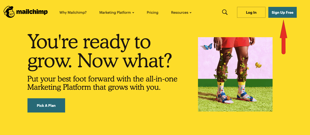 Mailchimp Banner