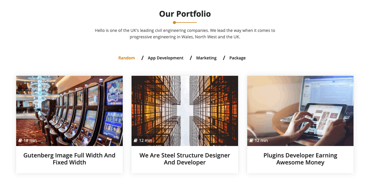 Our Portfolio Section Example