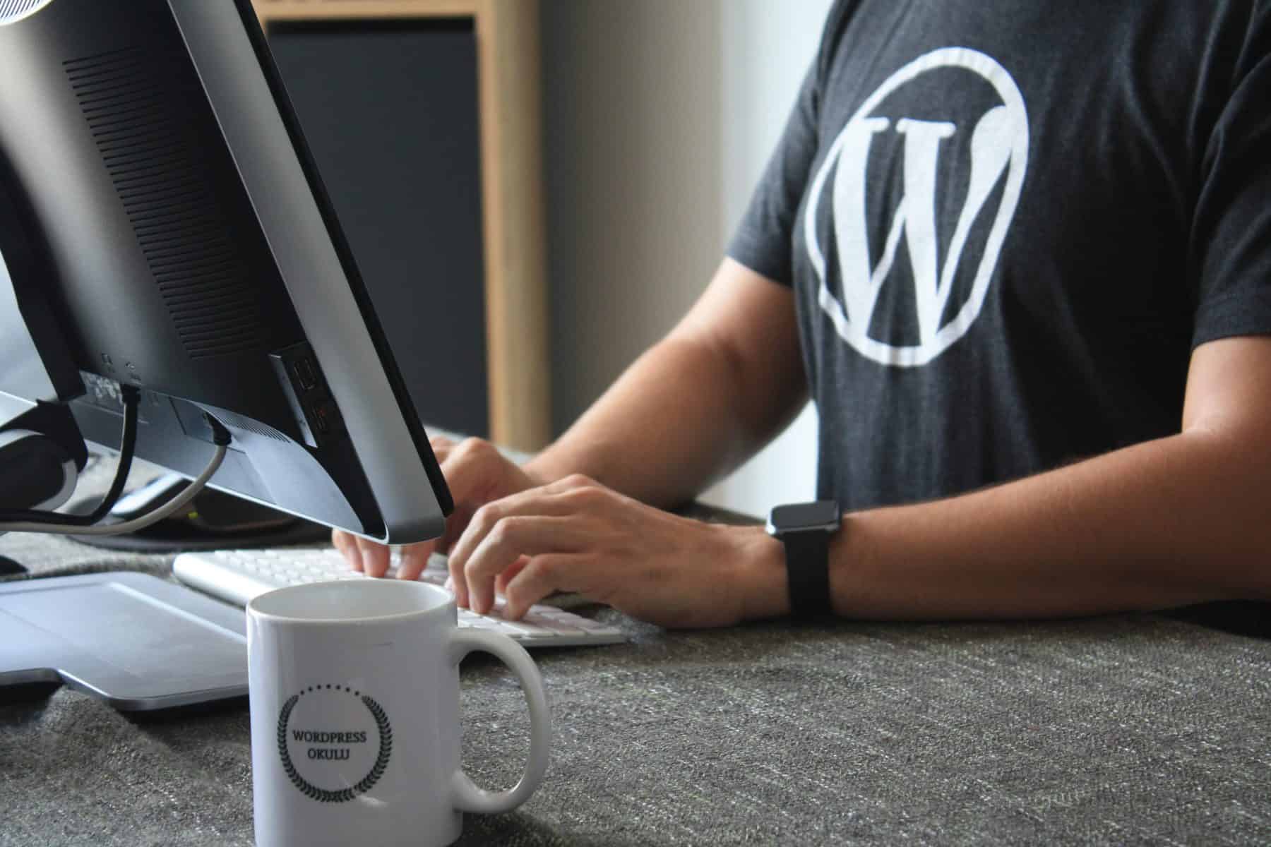 wordpress developer