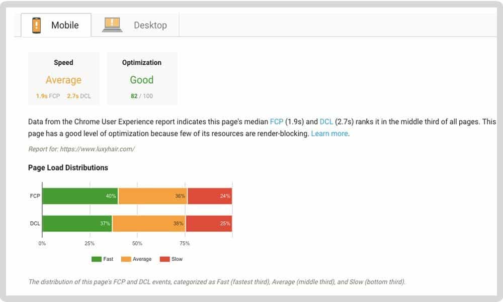 PageSpeed Insights report details