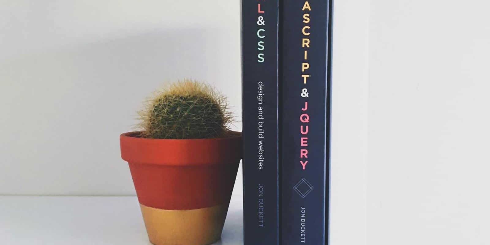 Web development books