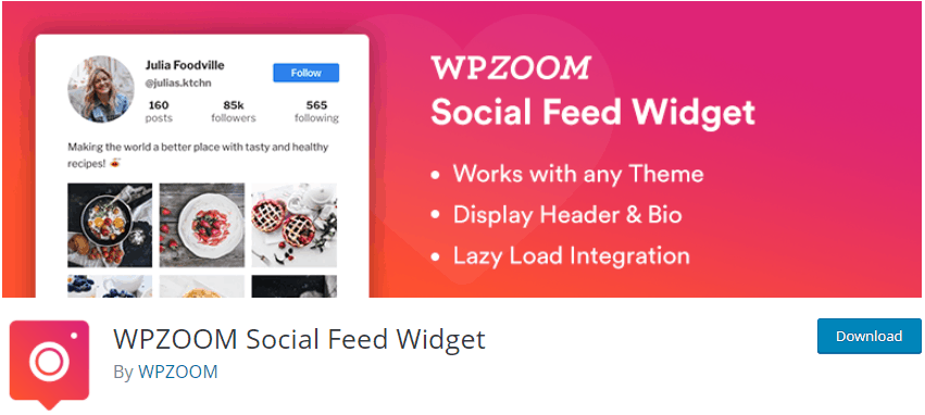 WPZOOM Social Feed Widget