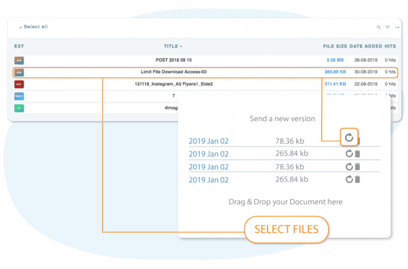 WP file download versioning