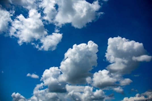 A group of sheep standing on top of a lush green field cloud computing mobile devices sync