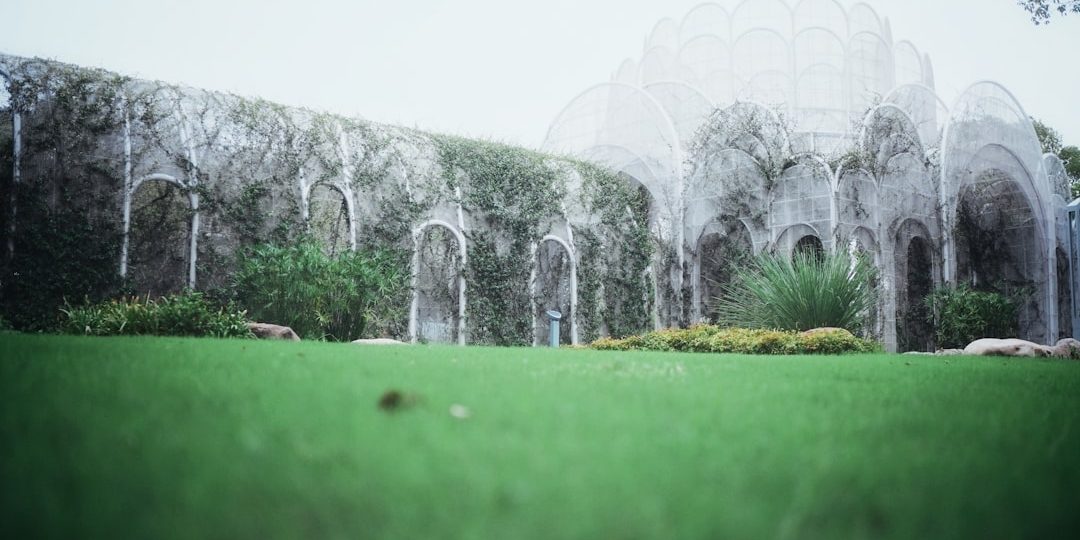 Stone structure covered in ivy with arched openings. ai generated image, futuristic landscape, cinematic concept