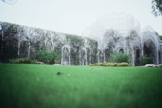 Stone structure covered in ivy with arched openings. ai generated image, futuristic landscape, cinematic concept