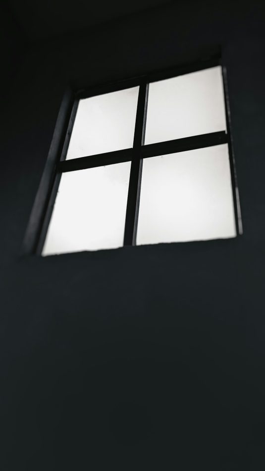 a black and white photo of a window windows features checkbox net framework