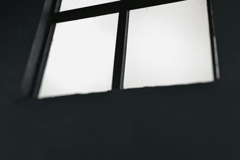 a black and white photo of a window windows features checkbox net framework