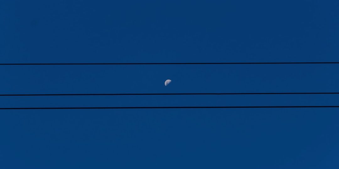 A blue box with a bird sitting on top of it luna dashboard interface clean simple