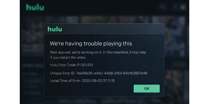 What Is Hulu Error Code P-DEV313